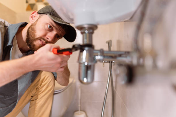 Best Affordable Plumbing Services  in West Monroe, MI